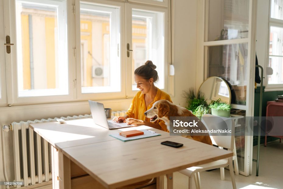How to Build Long-Term Client Relationships (Beyond One-Off Projects)
